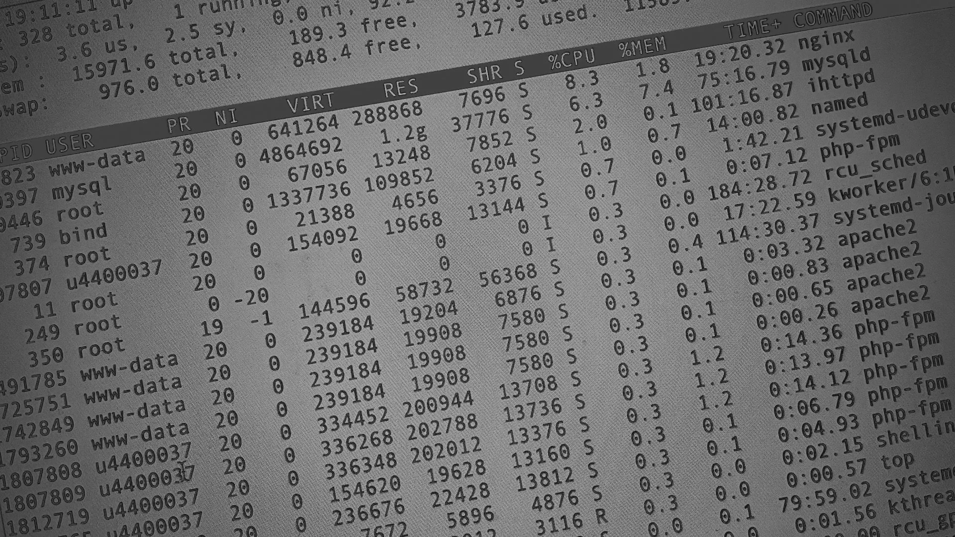 Настройка сервера в Шахтах Настройка сервера в Шахтах