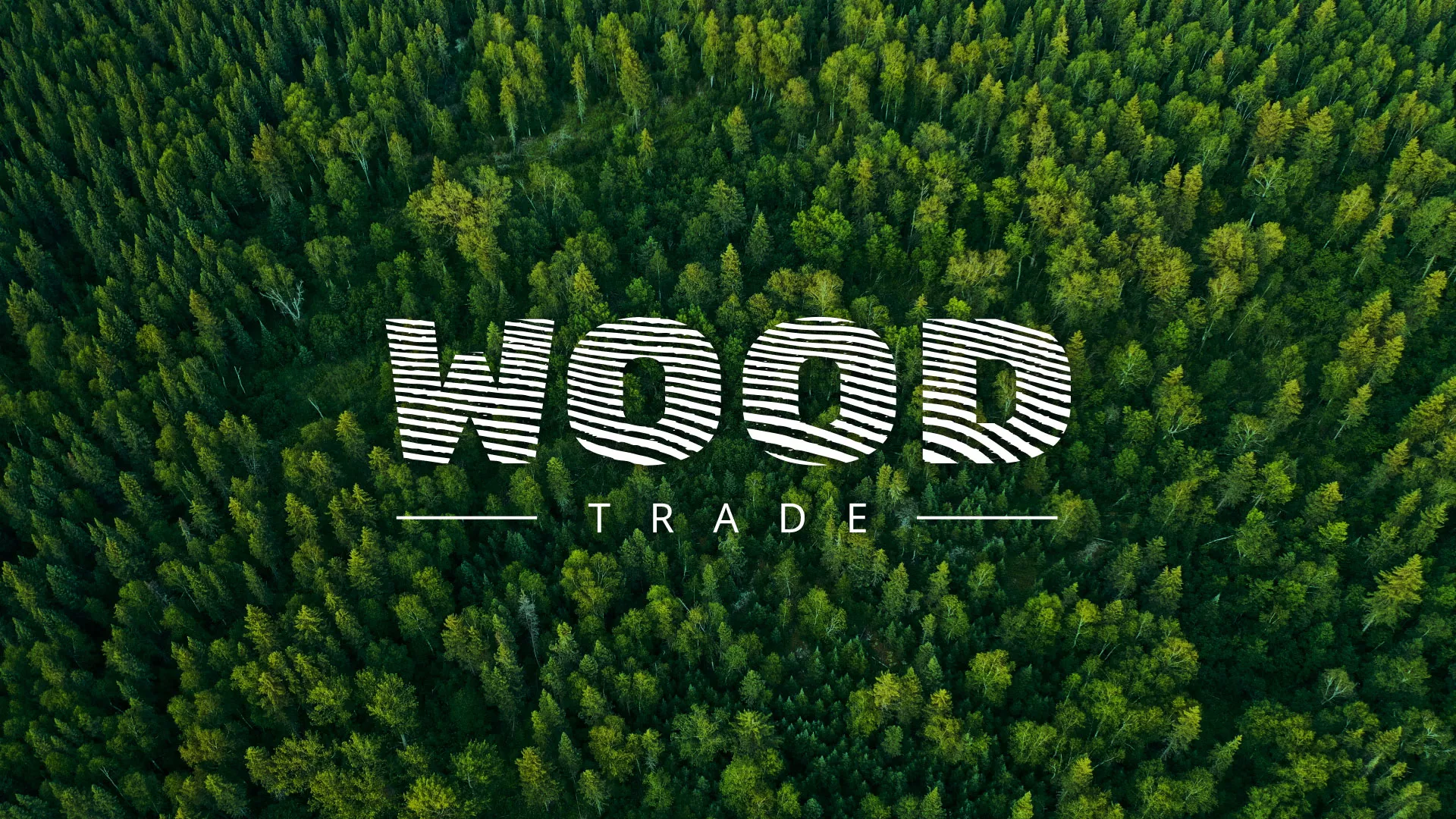 Разработка интернет-магазина компании «Wood Trade» в Шахтах