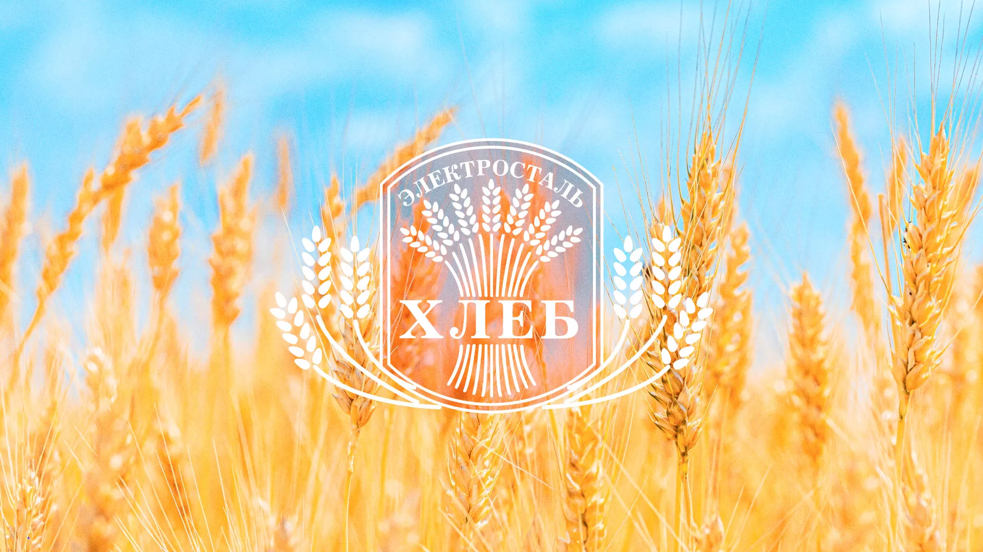 Создание сайта для хлебзавода в Шахтах